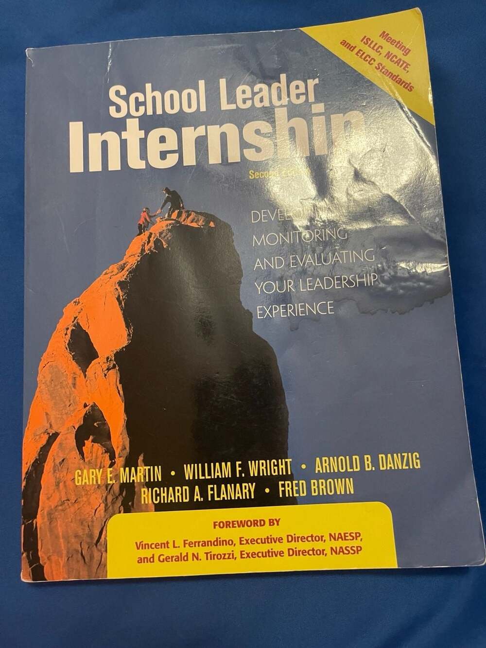 School Leader Internship: Developing, Monitoring, and Evaluating